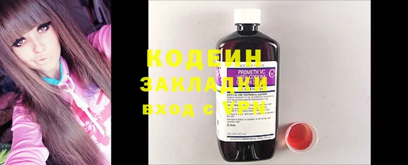 где можно купить   Заозёрск  Кодеиновый сироп Lean Purple Drank 